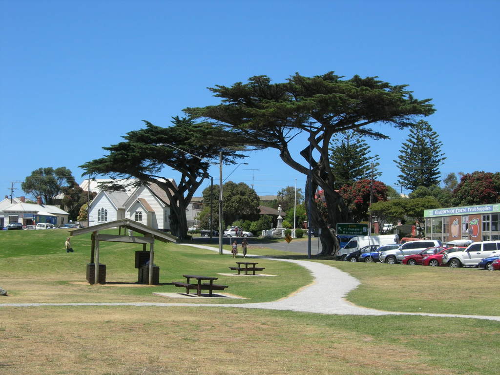 Scaled image 0236_trees_at_apollo_bay.jpg 